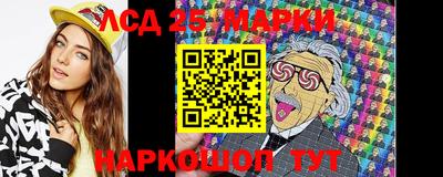 индика Новодвинск