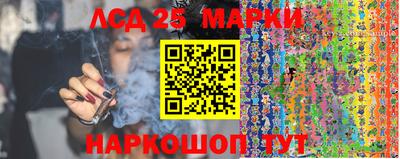 трава Новозыбков