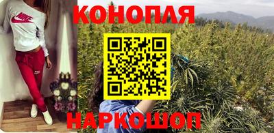 индика Новодвинск