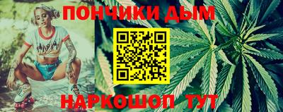 индика Новодвинск