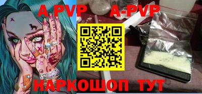 индика Новодвинск