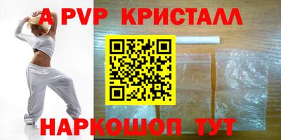 индика Новодвинск
