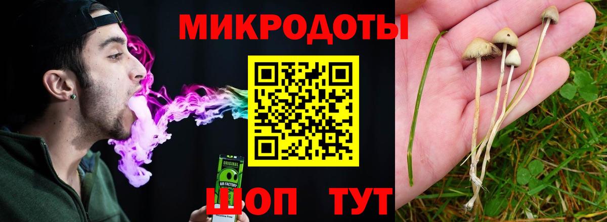 Псилоцибиновые грибы MAGIC MUSHROOMS  Моршанск  Псилоцибиновые грибы Psilocybe 