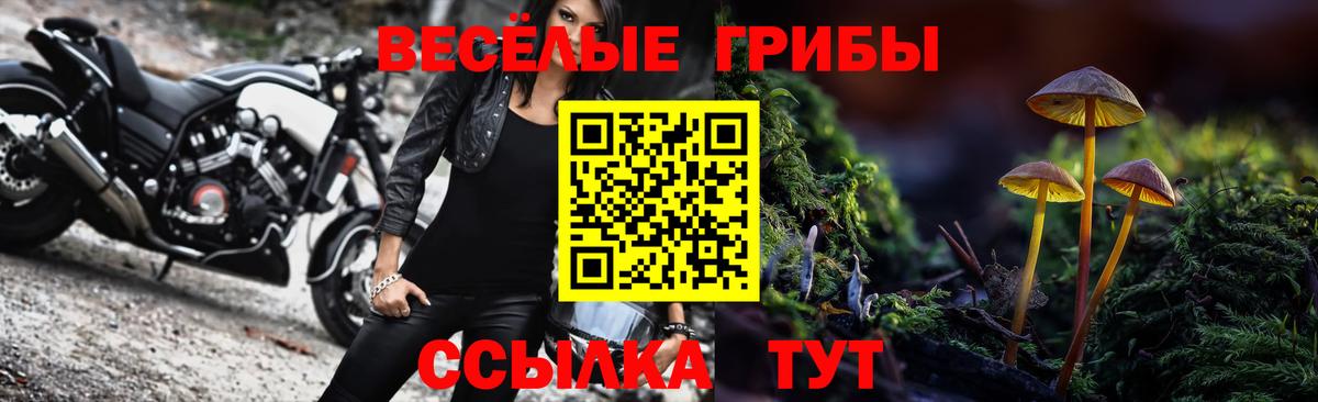 Галлюциногенные грибы MAGIC MUSHROOMS Моршанск