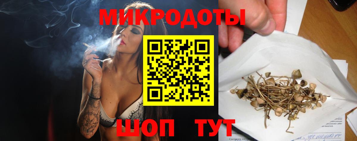 Галлюциногенные грибы Magic Shrooms  купить наркоту  Моршанск  Вход с VPN 